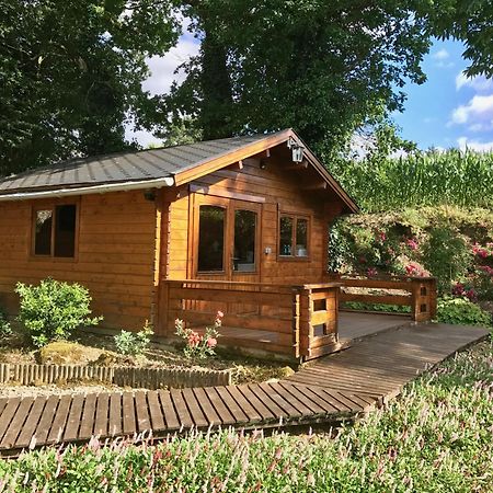 Chambres D'Hotes Les Tilleuls Poullaouen Exteriör bild